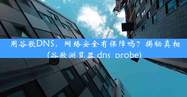 用谷歌DNS，网络安全有保障吗？揭秘真相(谷歌浏览器 dns_probe)