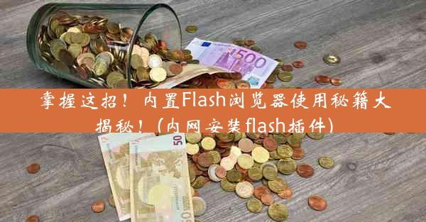 掌握这招！内置Flash浏览器使用秘籍大揭秘！(内网安装flash插件)