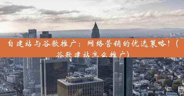 自建站与谷歌推广：网络营销的优选策略！(谷歌建站怎么推广)